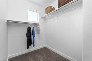 Spacious closet with dark colored carpet