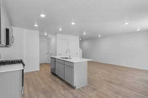 Kitchen featuring light wood finished floors, light countertops, gray cabinetry, appliances with stainless steel finishes, and a sink