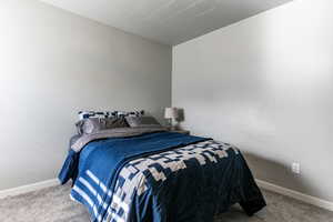 Bedroom with carpet floors and baseboards