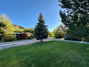 View of yard with a mountain view