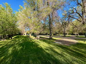 View of home's community featuring a yard
