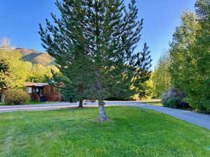 View of front facade with a front lawn