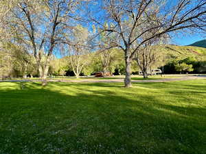 View of property's community featuring a lawn