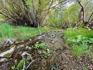 View of nature with a wooded view