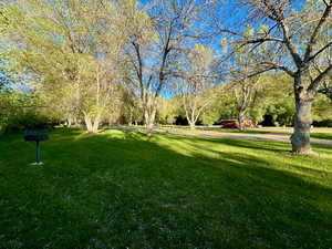 Surrounding community with a lawn