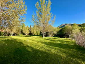 View of yard with a mountain view