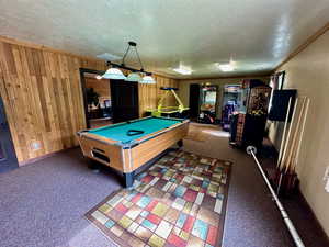 Recreation room featuring a textured ceiling, carpet floors, and wood walls