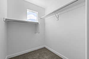 Spacious closet featuring dark colored carpet