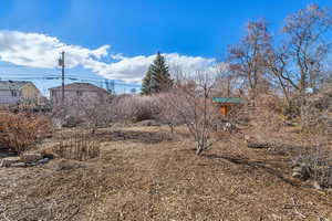 Back area of the food forest, with apples, cherries, peaches, plums, a variety of berries, and rhubarb