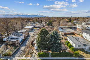 Aerial view showing off the privacy and shade provided by the two large pine trees out front