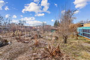 Yard directly behind the house with a variety of herbs, berries, rhubarb, and fruit trees.