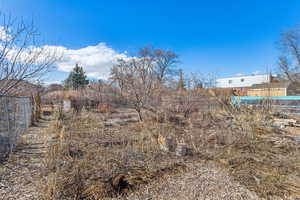 Yard directly behind the house with a variety of herbs, berries, rhubarb, and fruit trees.