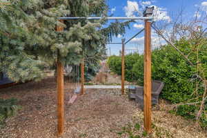 Swings in the front yard