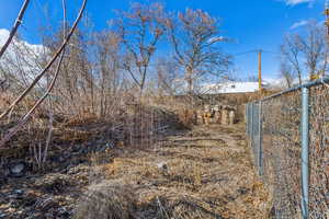 Central fenced off area with asparagus, blackberries, & pawpaw trees (tastes like a mix of banana & mango)