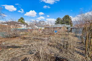 Section of the yard directly behind the house, looking back towards the house