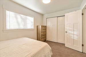 Carpeted bedroom with a closet