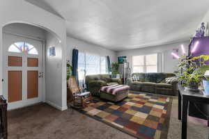 Carpeted living area featuring arched walkways