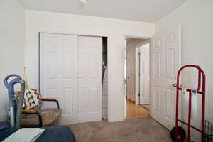 Carpeted bedroom featuring a closet