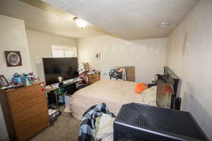 Carpeted bedroom featuring a textured ceiling