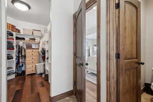 Spacious closet featuring dark hardwood / wood-style floors