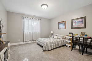 Bedroom with carpet floors