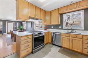 Kitchen featuring appliances with stainless steel finishes, a peninsula, light countertops, under cabinet range hood, and a sink