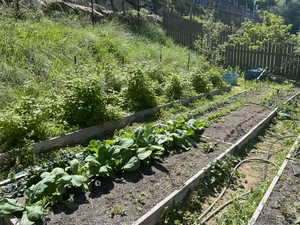 View of yard with fence and a vegetable garden