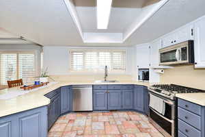 Kitchen featuring a tray ceiling, plenty of natural light, appliances with stainless steel finishes, and a sink