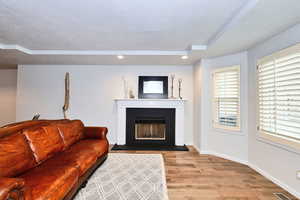 Living room with a fireplace, recessed lighting, a textured ceiling, light wood-type flooring, and baseboards