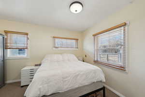 Bedroom featuring carpet, multiple windows