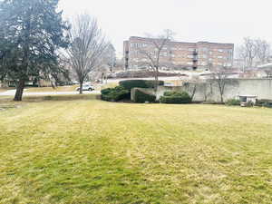 View of yard from back door.