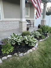 Front yard foliage