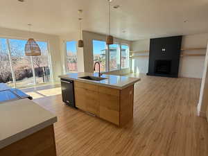 Kitchen featuring light wood-style floors, light countertops, dishwasher, and a sink