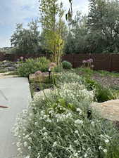 View of yard with a fenced backyard in Summer