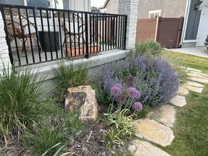 Front garden bed in summer