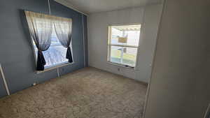 Unfurnished room with ornamental molding and carpet