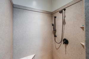 Room details with tiled shower