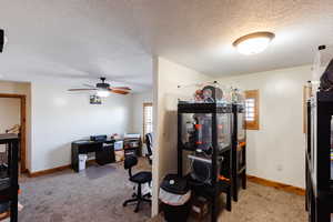 Carpeted office space with ceiling fan, baseboards, and a textured ceiling