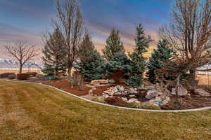 View of yard at dusk