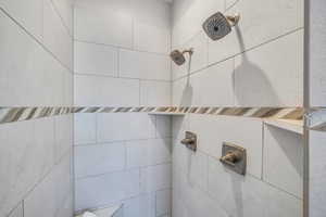 Interior details with tiled shower