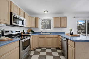 Kitchen featuring tile patterned floors, a peninsula, stainless steel appliances, light brown cabinets, and a sink