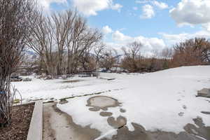 View of snowy yard