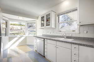 Kitchen with dishwasher, backsplash, dark countertops, and a sink