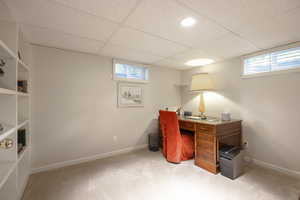 Home office featuring carpet floors, baseboards, and a paneled ceiling