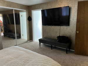 Bedroom with carpet and a closet