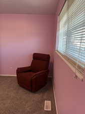 Sitting room featuring carpet floors, visible vents, and baseboards