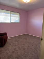 Empty room with carpet floors, baseboards, visible vents, and a textured ceiling