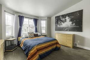 Bedroom with carpet, visible vents, lofted ceiling, and baseboards