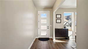 Doorway to outside featuring baseboards and dark wood-type flooring