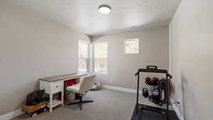 Carpeted office featuring visible vents, a textured ceiling, and baseboards